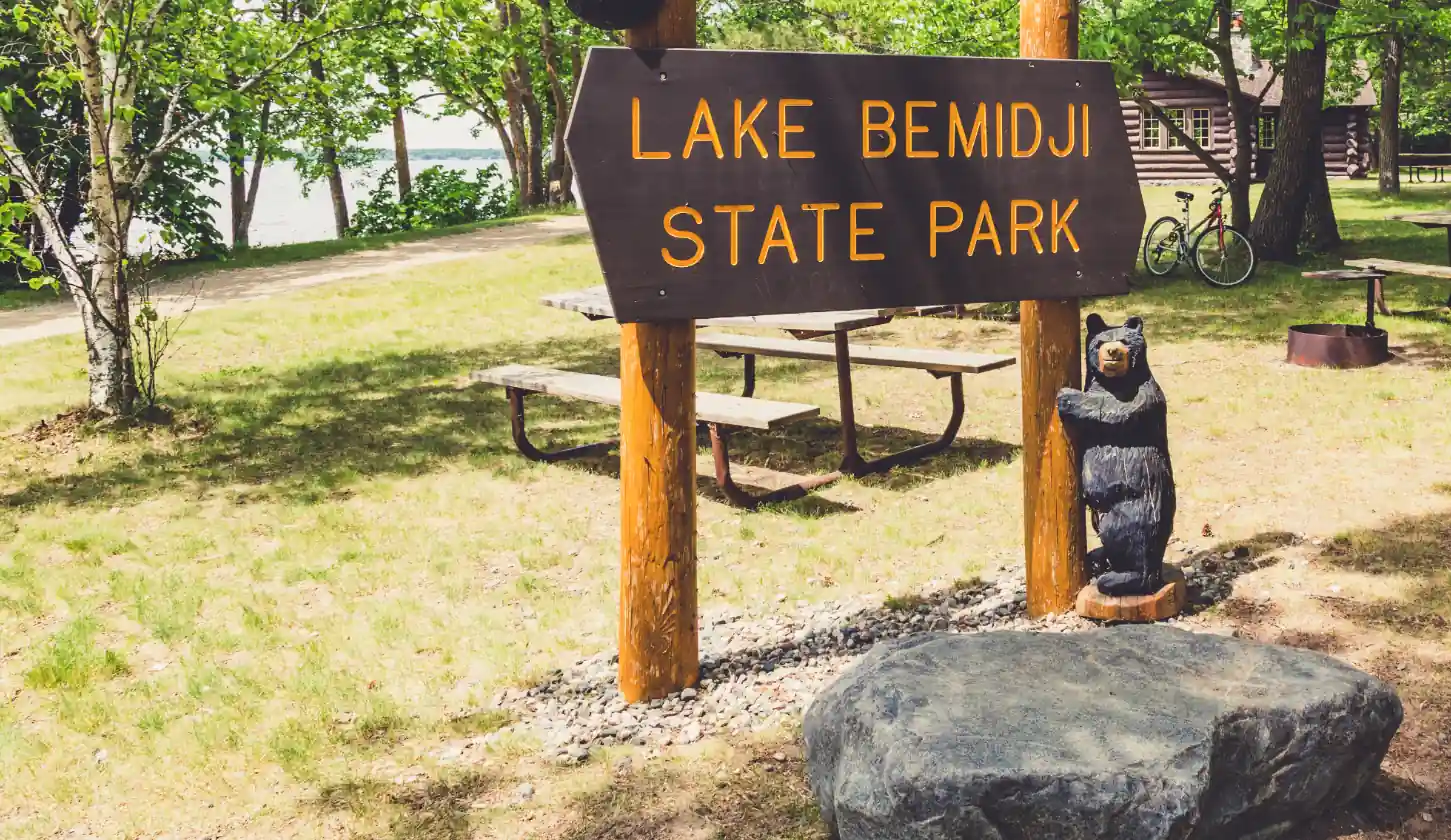 Accessible boardwalk through tamarack bog at Lake Bemidji State Park