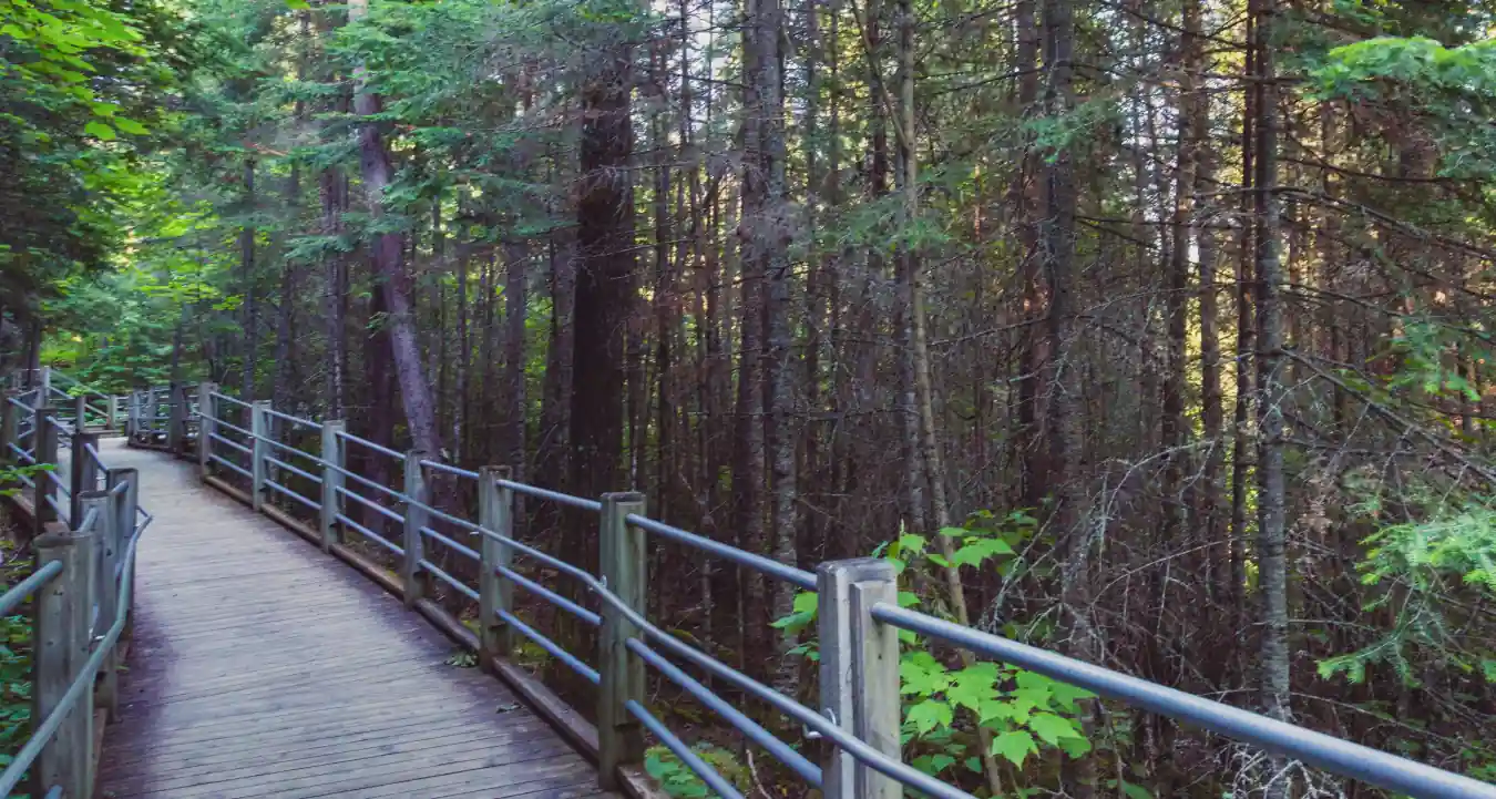 High Falls at Grand Portage State Park on the Pigeon River