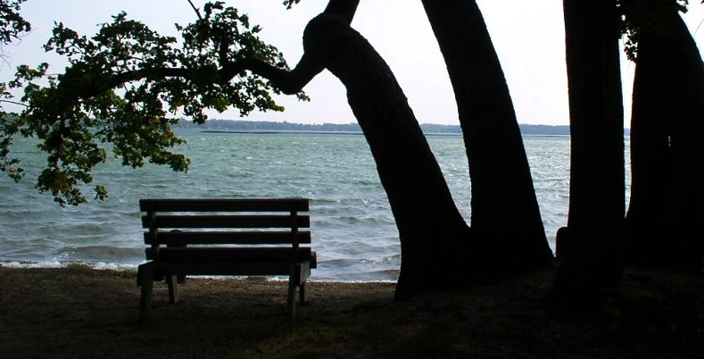 Lakeside trail at Lake Carlos State Park