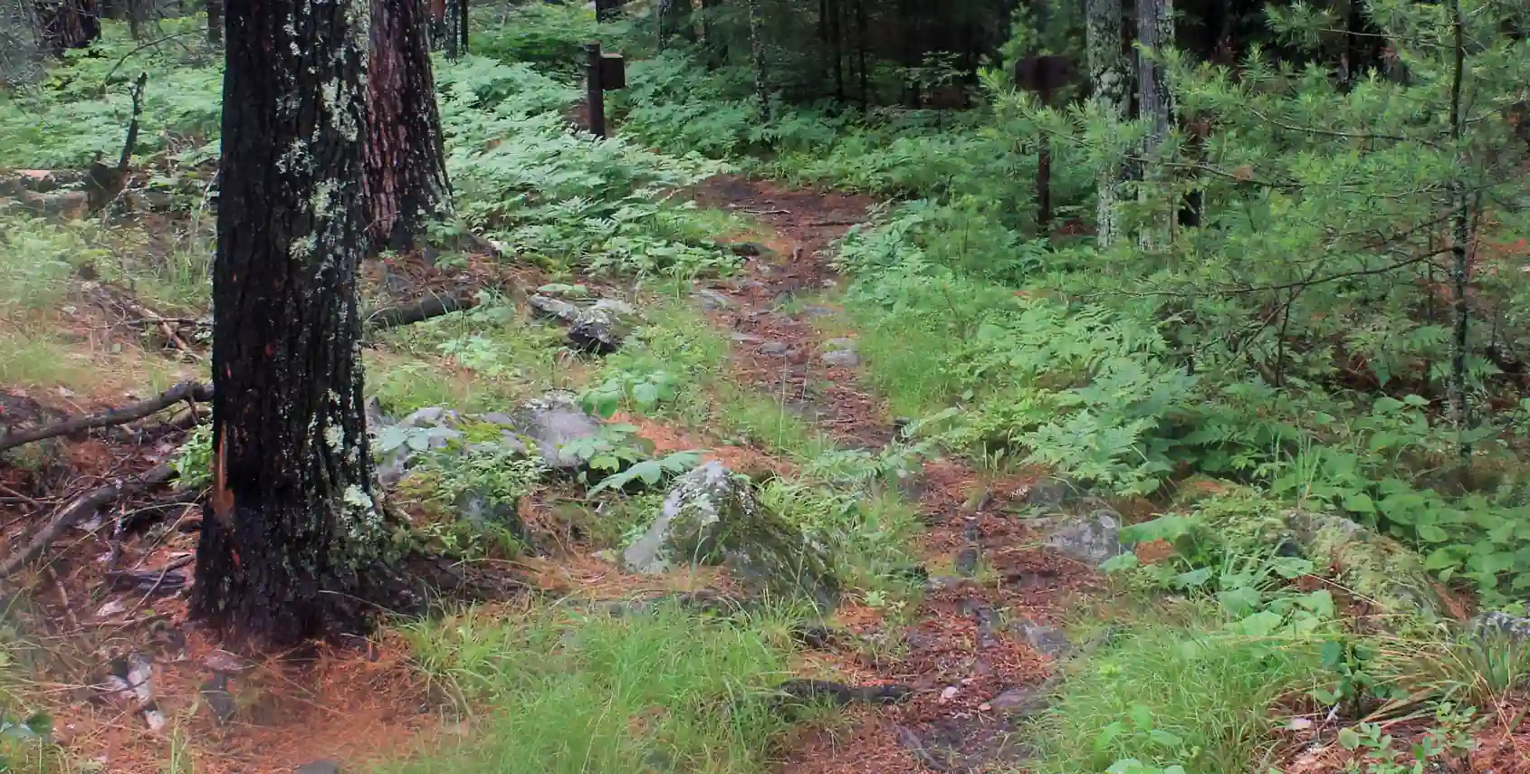 Minnesota Valley State Trail - River Valley Hike (Bloomington Segment)