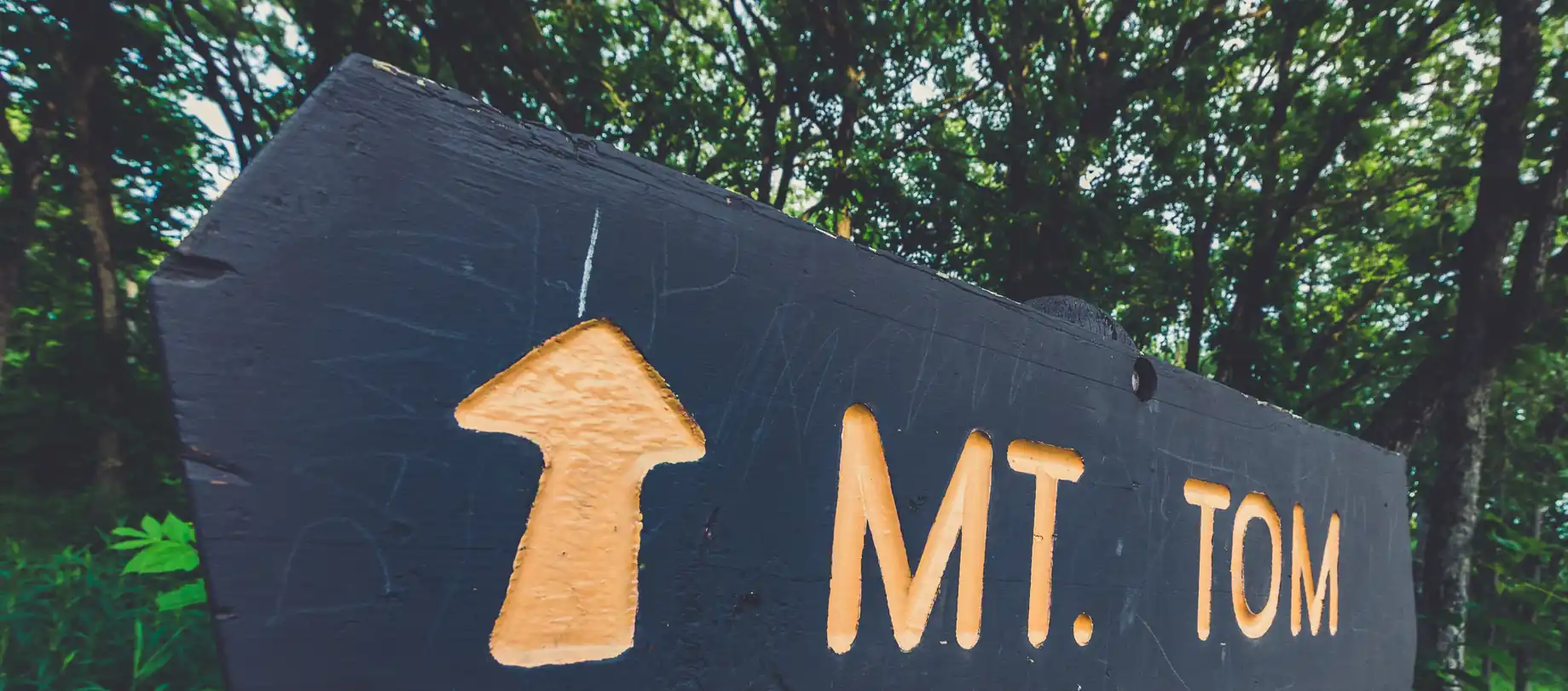 Mount Tom overlook at Sibley State Park