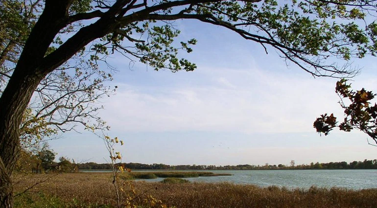 Rice Lake State Park - Lake Trail